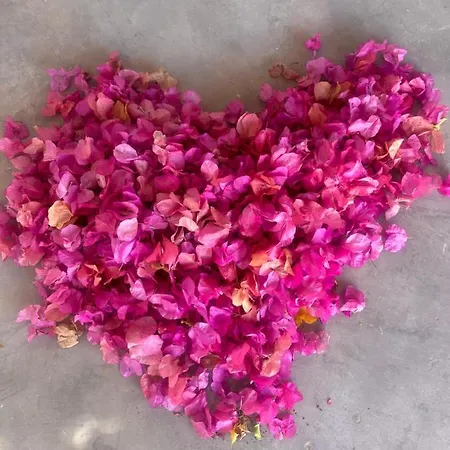 Casa vacanze Kefia 1