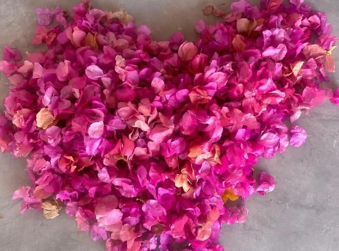 Semesterbostad Kefia 1